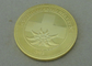 Confoederatio の Helvetica 個人化された硬貨、亜鉛合金はダイ カスト金張りの軍隊の硬貨が付いている