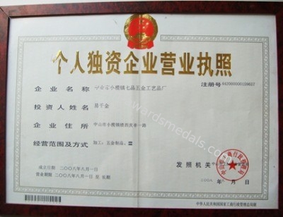 中国 pins centre company ltd 認証